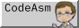 CodeASM