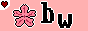 NetScans
